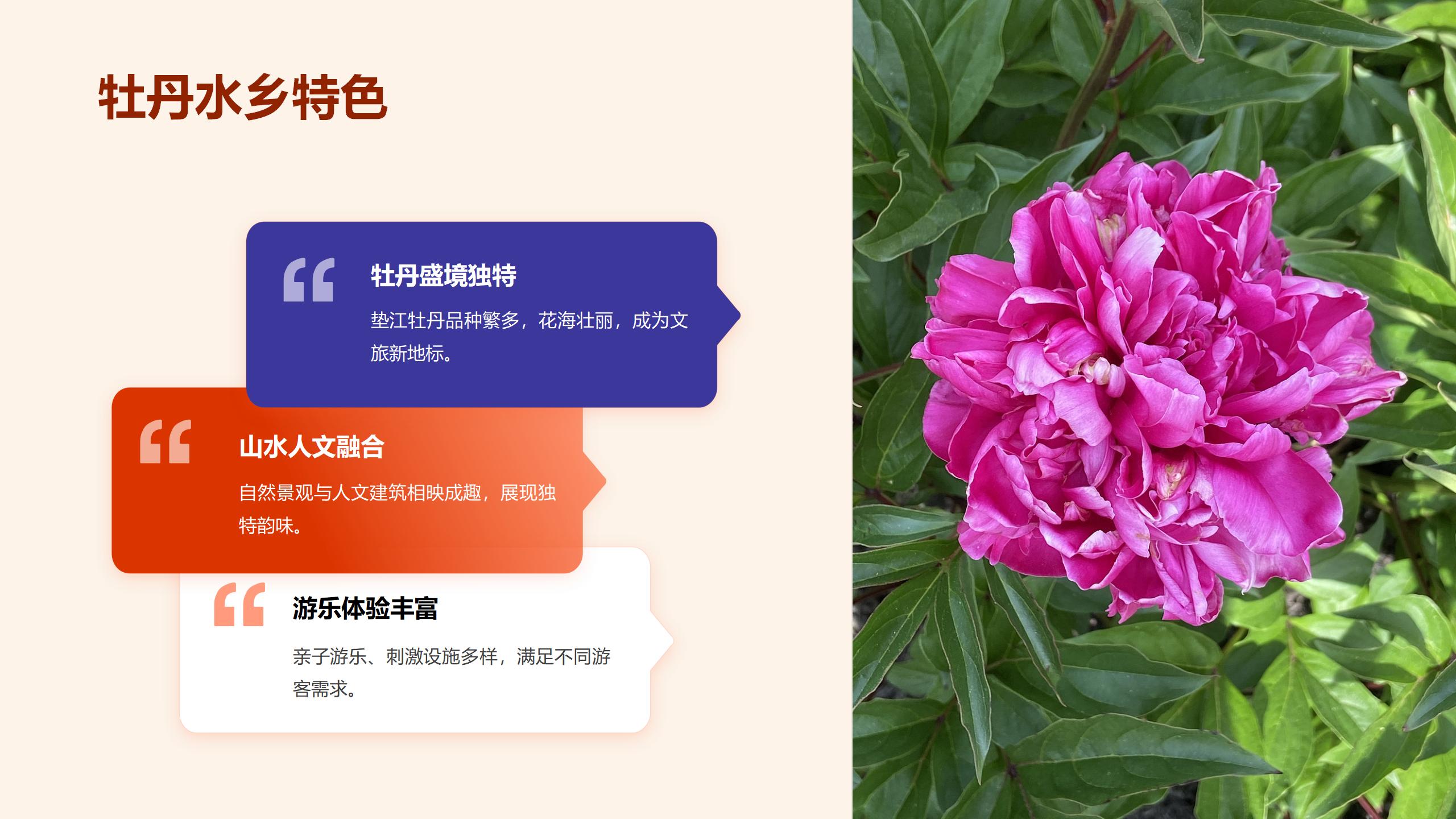 牡丹乡水乡文旅项目介绍(1)_01.jpg