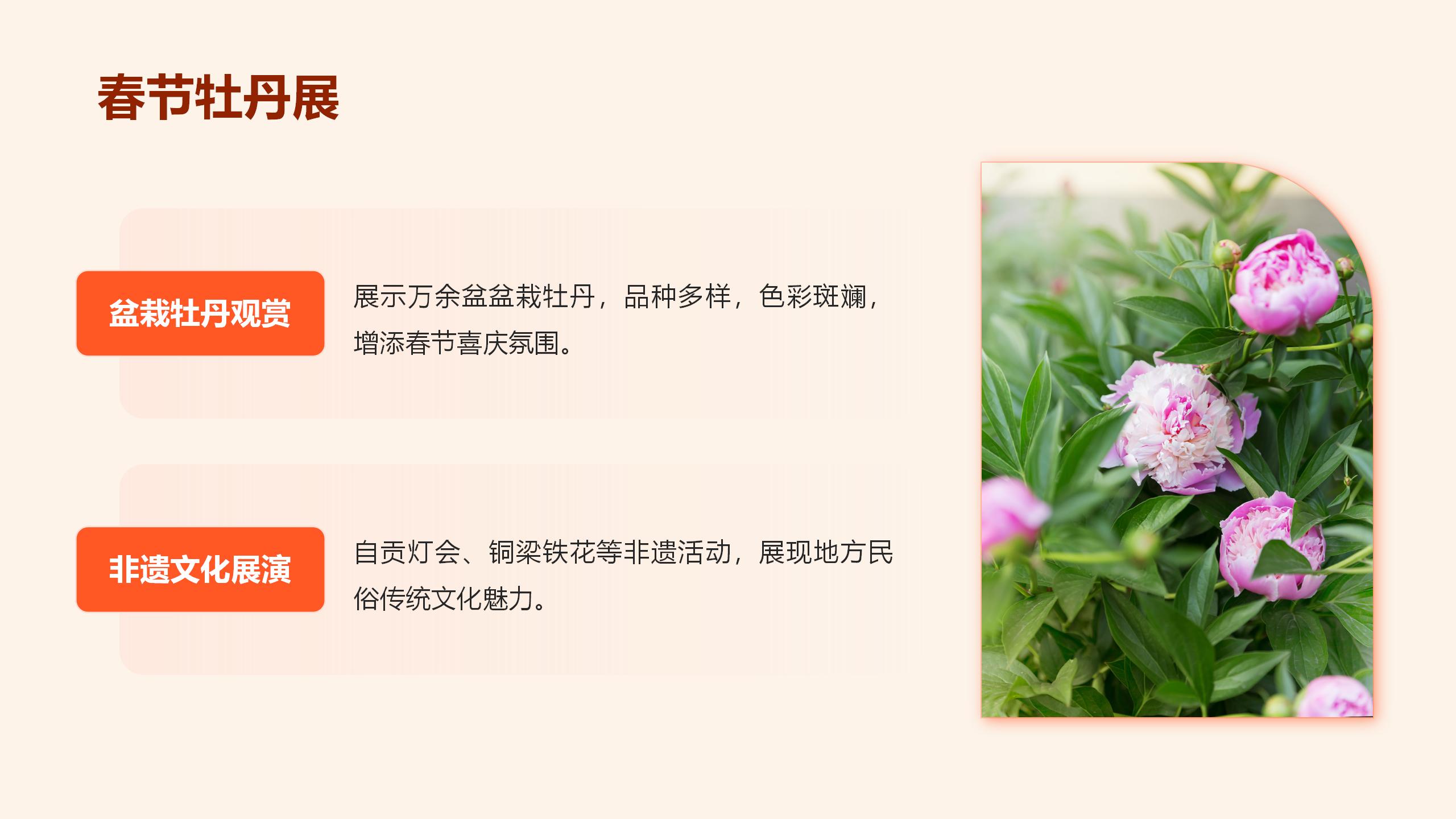 牡丹乡水乡文旅项目介绍(1)_04.jpg
