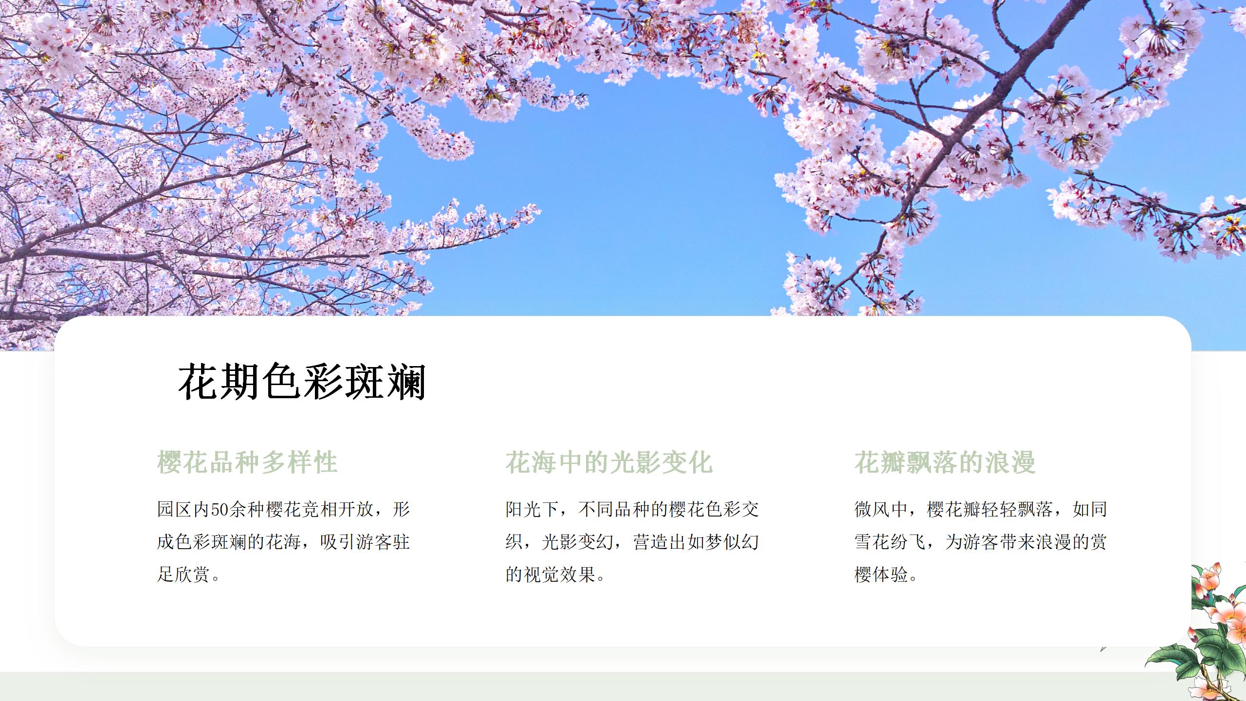 绛樱院旅游介绍_02.jpg