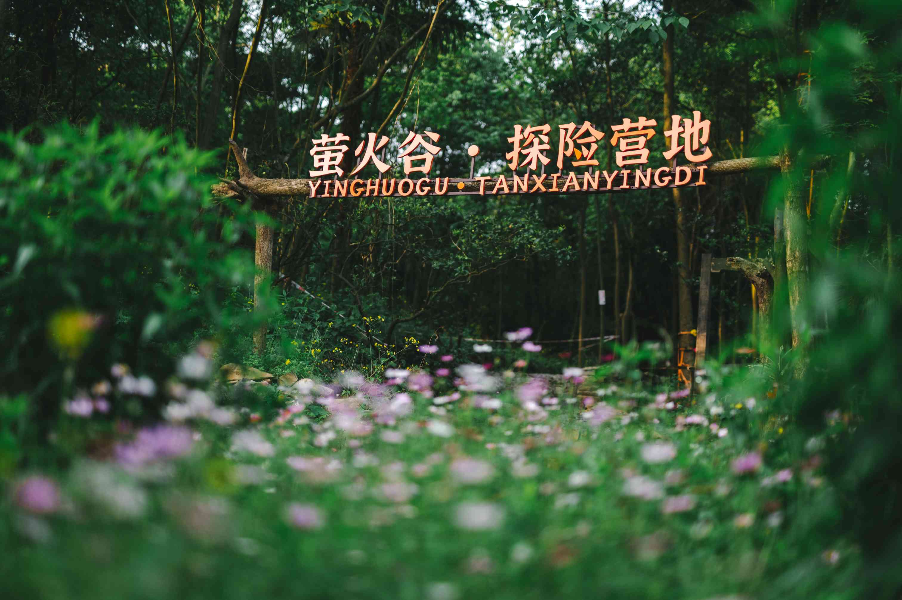 微信图片_20230421134432.jpg