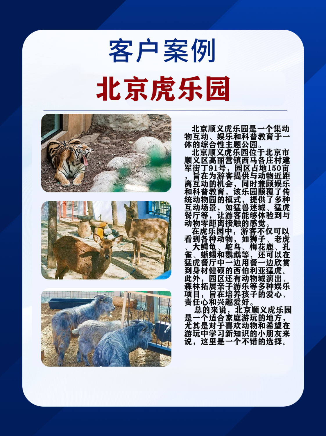 虎乐园 (2).png