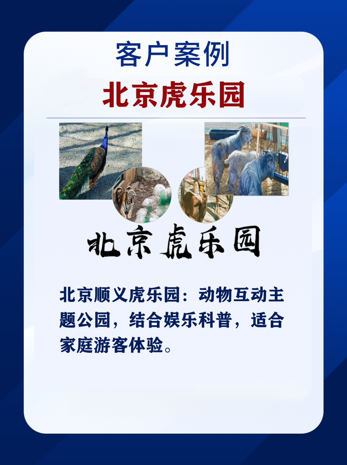 虎乐园.png