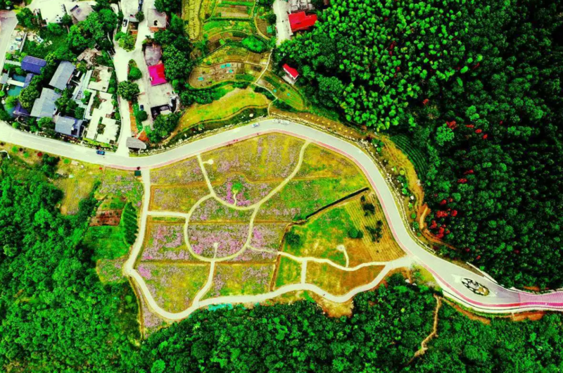 五福花田风景区3.png
