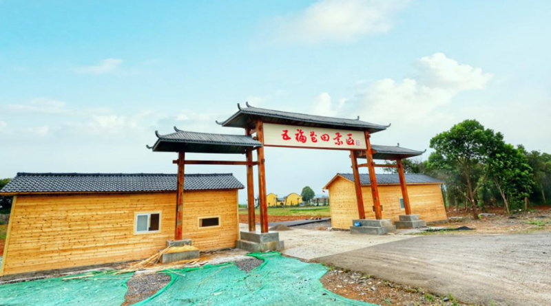 五福花田风景区5.png