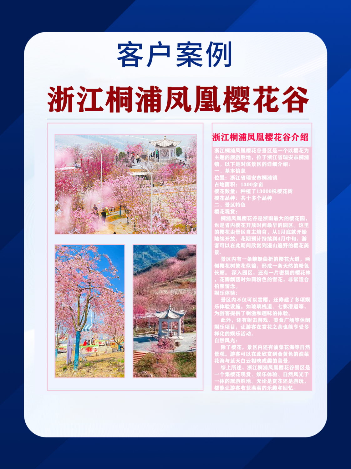 樱花谷.png