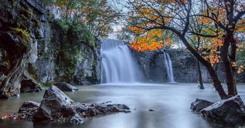杨树沟风景区·鹿山秘境.png