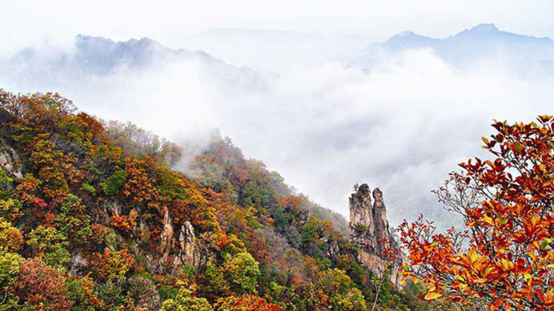 杨树沟风景区·鹿山秘境5.png
